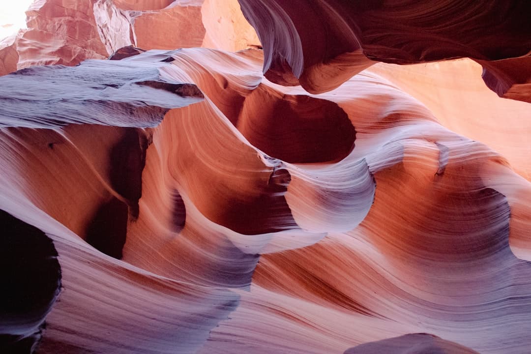 LLC name availability in Arizona