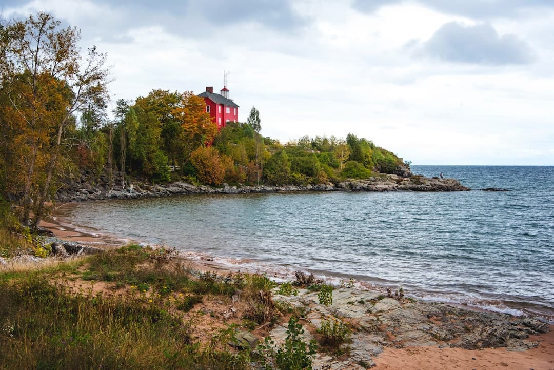 LLC name availability in Michigan