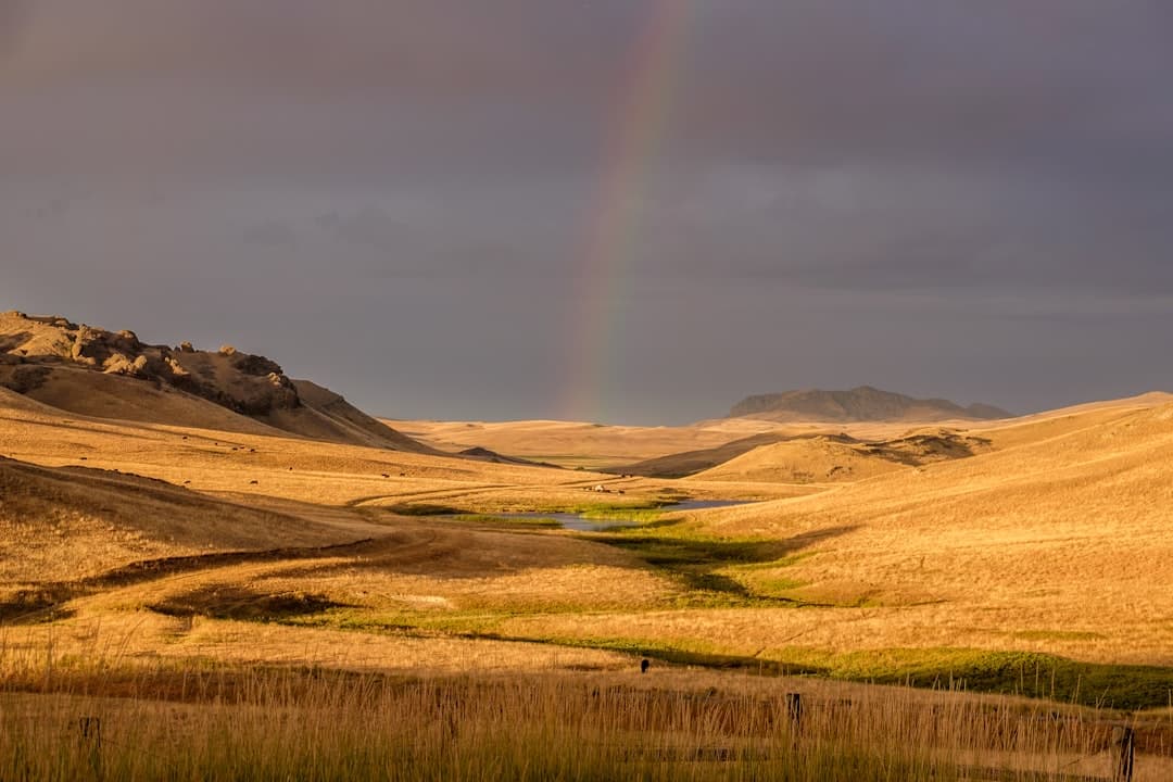 LLC name availability in South Dakota